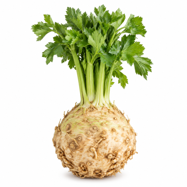Kereviz